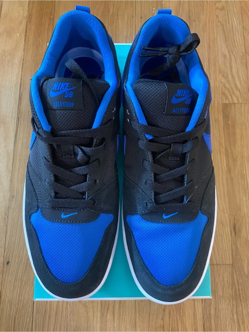 NEW Nike SB Alleyoop Dunk Black Royal